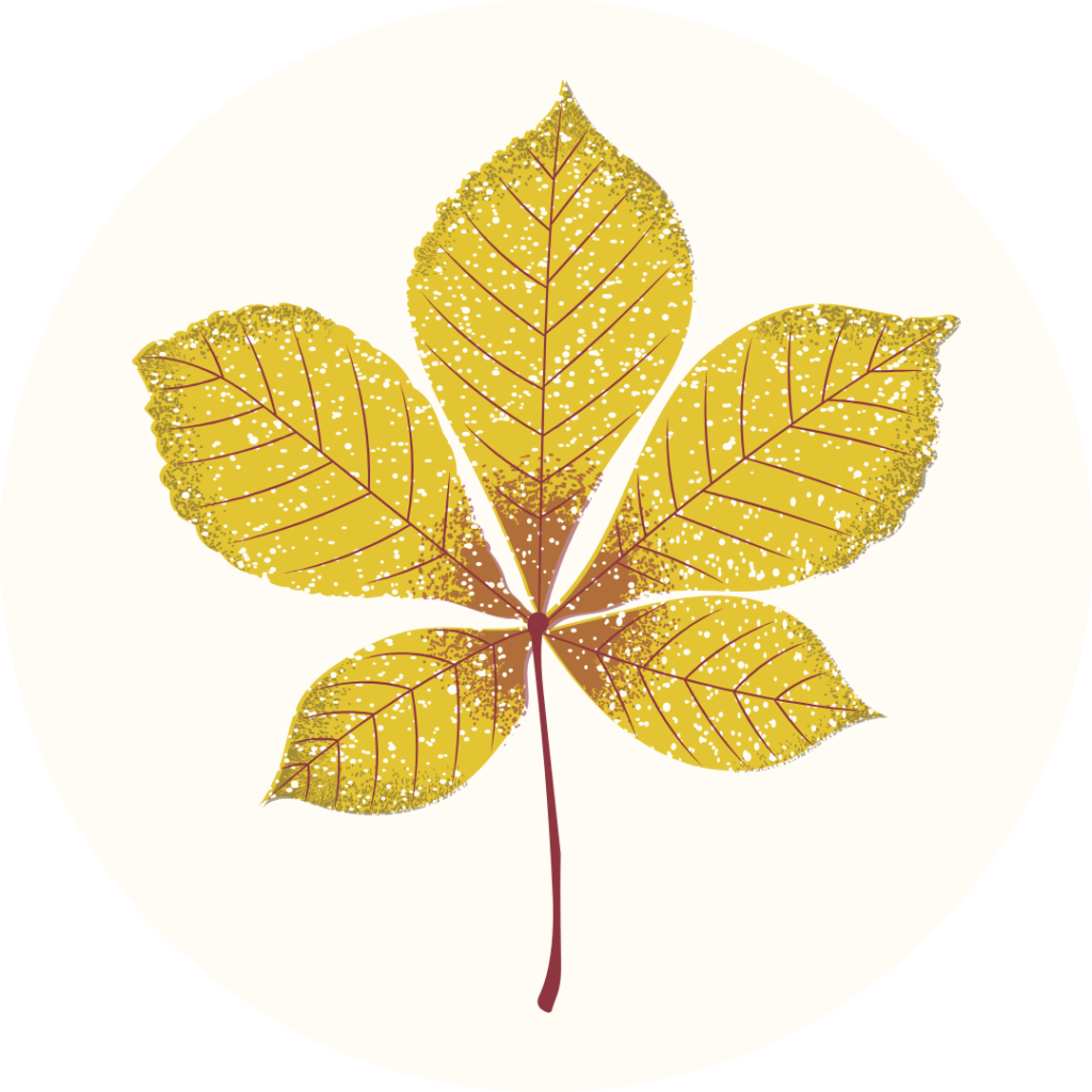 membre marronnier Auralis